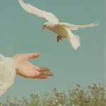 Photo by 🦋عےـليے🦋 (@Ali10855)