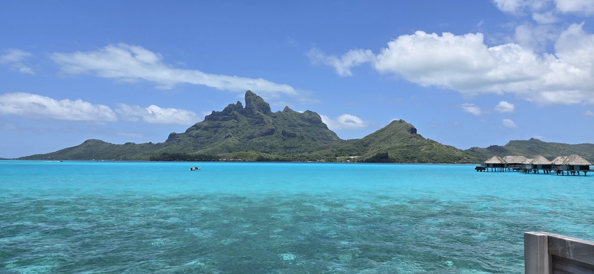 Politicalzilla's tweet photo. @FrankRob87 @GabbyHerzig @TheAthletic And here you are. While you are pouting and whining, I'm with my lovely wife, in the South Pacific, having an amazing time. 

Loser? You need to look at yourself pally. 😂

Don't hate the view or the player, you just can't afford it. https://t.co/4b7obgDNHE