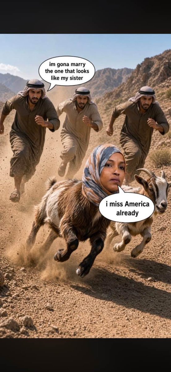 Turko1558's tweet photo. @Ilhan You will be in ice custody soon and deported https://t.co/xJISSGPmer