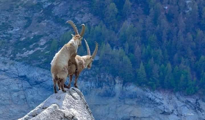 alexm_io's tweet photo. Así se ve el precipicio     🐐 https://t.co/HuEtIfJrOU