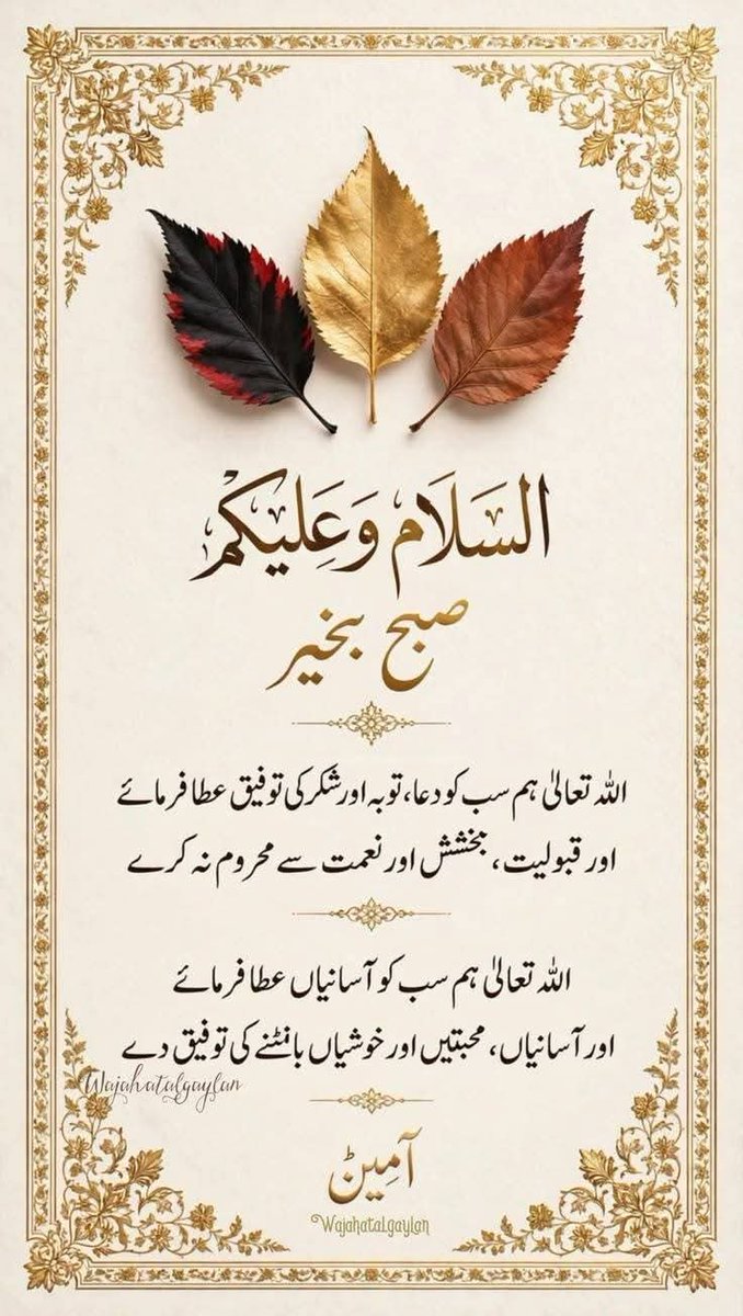 HajiIk804's tweet photo. یارب العالمین عمران خان کی رہائی دے
آمین ثم آمین یارب العالمین https://t.co/BPxmM7Bunm