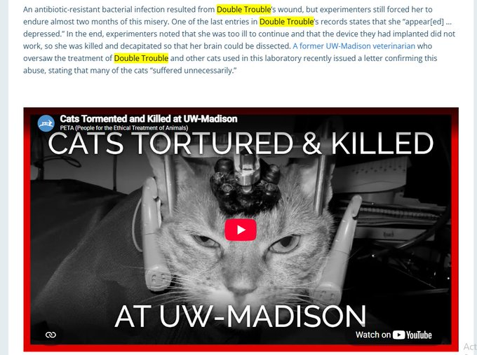 apedev_sol's tweet photo. I GENUINELY think this might be the next pnut

early today, @peta posted about a cat that was being abused. 

they are literally doing mind experiments on her and i digged into it and found her name.

the cats name is doubletrouble. they tortured her for months in these experiments and was eventually killed

https://t.co/QayBdzvPnM

theres also hundreds of stories but the story of doubletrouble is today
https://t.co/3lfyhE5rZ1