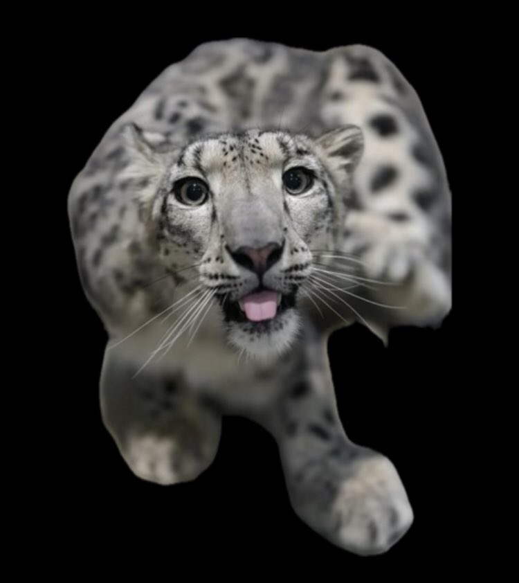 ToastedSnep's tweet photo. @Fuppy_Braps i hope that nose of yours is prepped for rancid snep ass blasts https://t.co/rsXhKGvDL6