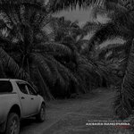 Photo by DANU PURBA. (@drouzse)