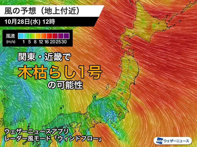 wni_jp's tweet photo. ＜木枯らし1号の可能性＞
明日28日(水)は冬型の気圧配置となり、強い寒気が日本の上空に流れ込みます。札幌は昼間になっても5℃に届かない寒さとなる予想です。

全国的に風が強まり、関東と近畿では木枯らし1号が発表される可能性があります。北風で肌寒く感じそうです。
https://t.co/Ia0TtjdMv1 https://t.co/3qvCiIdYwh