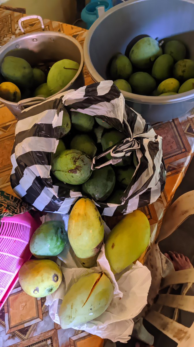 esjerukgorengg's tweet photo. jujur muak banget sama mangga😭🥭 https://t.co/B86OHsbGeM