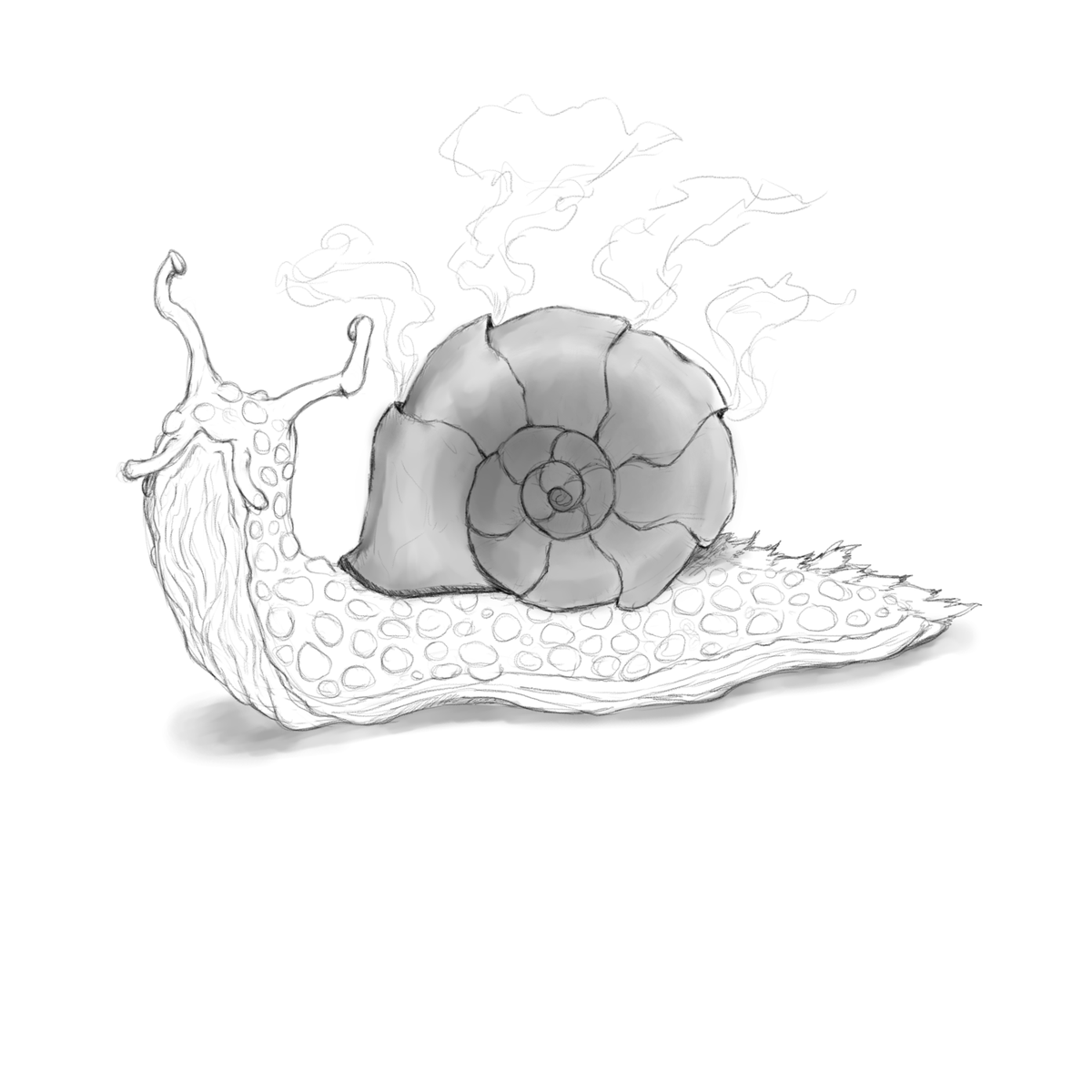 JayMac_Slacking's tweet photo. I think I'm getting the hang of this digital art thing. I just needed to find brushes that are basically just pencils 😆 Working on some of the field research sketches for the Archivist that is referenced in my game. He saw a fire snail and called it an Ember Shell. https://t.co/OoqNFKWdon