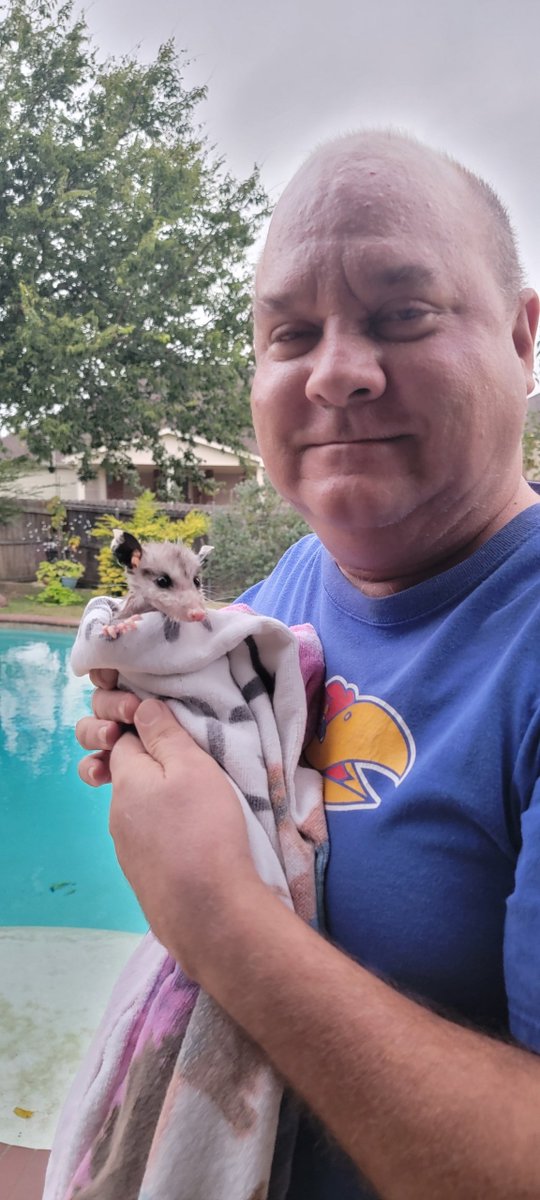 rjbjensen3's tweet photo. @Francin28577060 I love em.  Rescued from my pool. https://t.co/KJry9J38ii