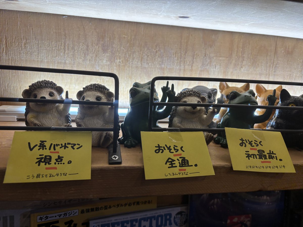 vvkashihama's tweet photo. おそらく、バンドマンからはこう見えている。

#ヴィレヴァン
#香椎浜 https://t.co/WogLQFDIgS