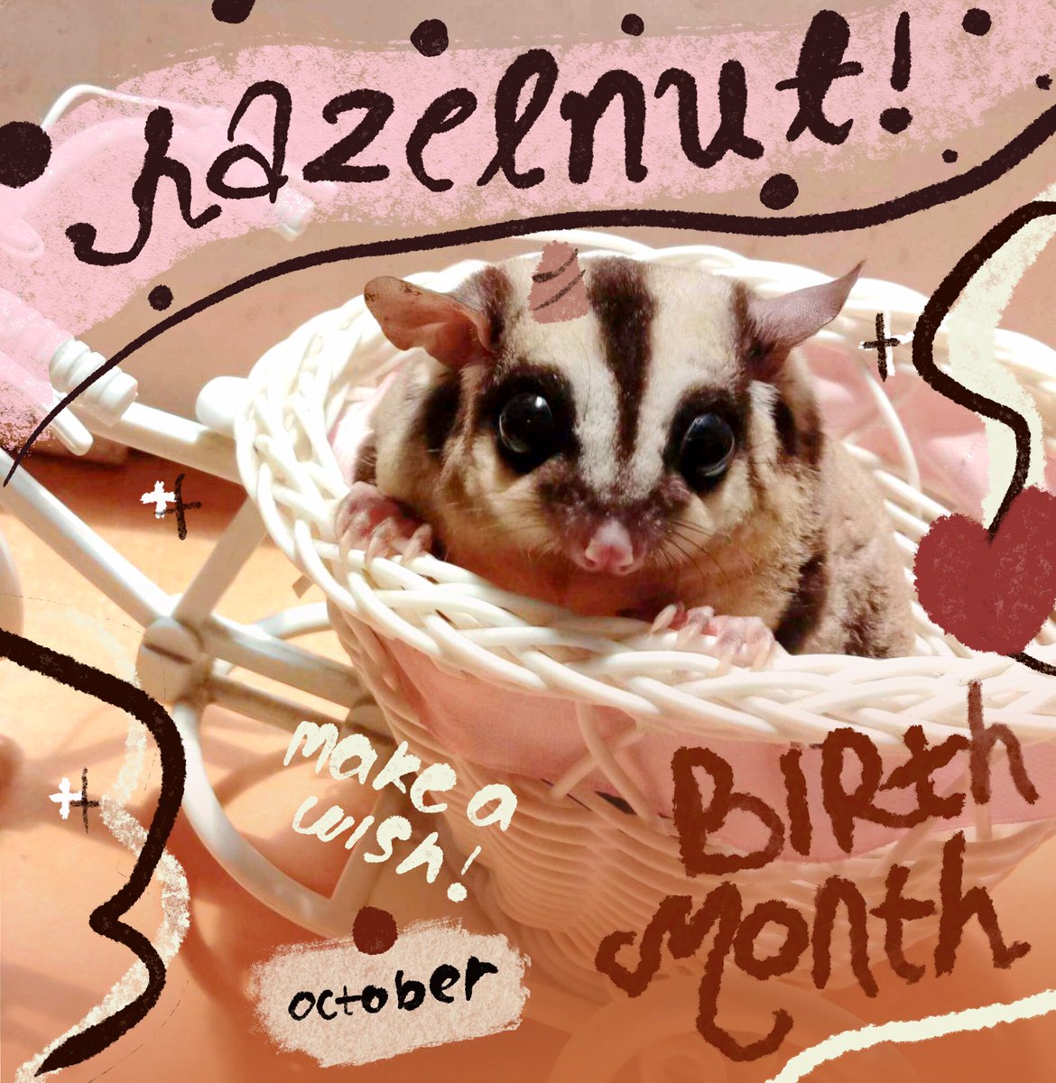 rhapsopurdy's tweet photo. help repost, thank you! 🎊

halo, aku ada 2 FREE LAYOUT READY STOCK dalam rangka merayakan hari ulang tahun kak hazelnut! @hzlenuts 🥳🎈 #hzzllellzzh

🧁 klaim by reply
🍰 end 28 oktober 15.00 WIB

#bealanja #zonauan https://t.co/LCP725MOOM