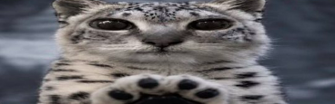 shiestysorcery's tweet photo. just gonna squeeze past you reeal quick little guy https://t.co/ceR9e8WPVp