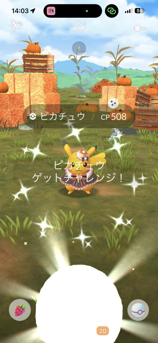 POKE_MON_Tea's tweet photo. 早めにきた！！！⚡️✨

#ポケモンGO #ポケモンGO色違い #色違い https://t.co/IdXSEUfrfr