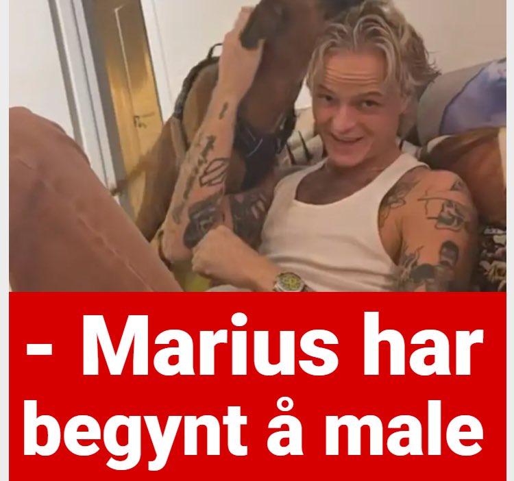 Hvitdvergg's tweet photo. Den nordiske maleren, fremtidens østeriske maler? https://t.co/EZ3CGlzAEg