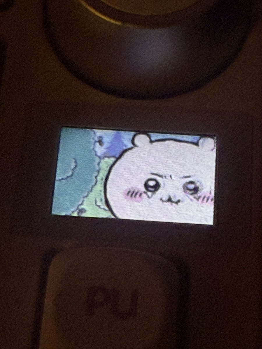 petdoggu's tweet photo. @nommeny THEY R SO CCUUUTTEEEE and i have a lil screen too where i keep my cute bby... https://t.co/3ujQOXltPK