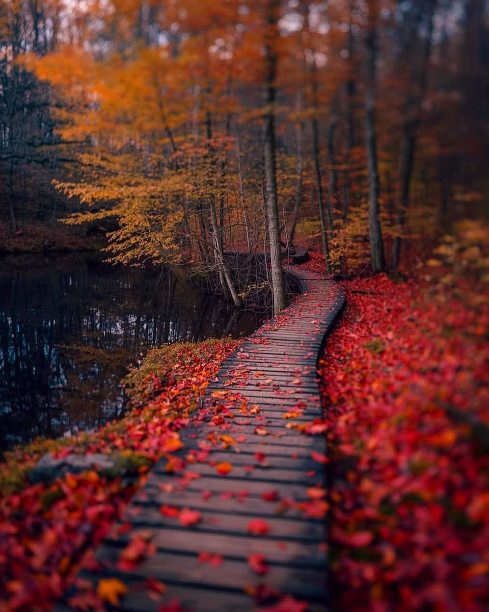 Alice_Vogue's tweet photo. #HEALING #CALM #RELAX https://t.co/jD4MZ9I8WC