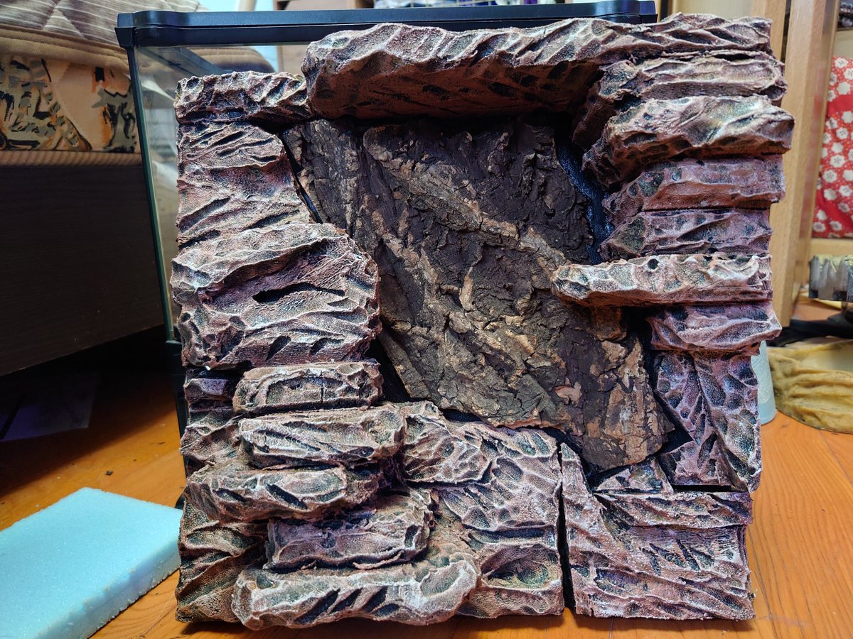 CreatureLab's tweet photo. グラテラ3030用バックボード作ってみた🦎
今回は今までの中でいちばん良い感じ⤴️ https://t.co/nLkZcgl6JP