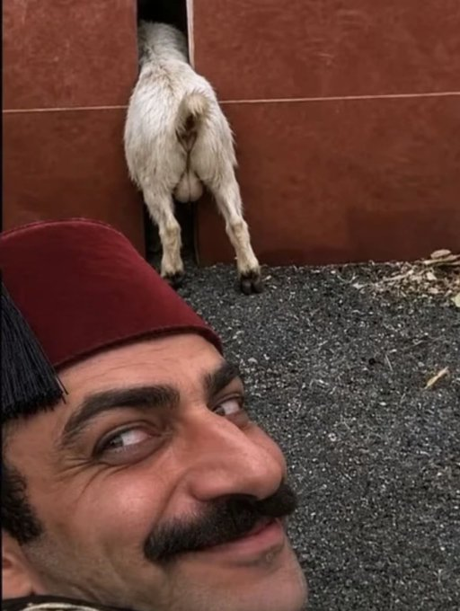 gatos_me's tweet photo. Why smelly turks love goats so much 🫣🤔 https://t.co/utSfFaHLSS