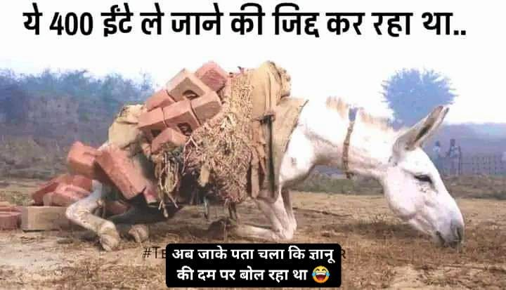 ssukhdev737's tweet photo. अब जाके पता चला कि ज्ञानू की दम पर बोल रहा था 😂 https://t.co/UyHd4AhzZi