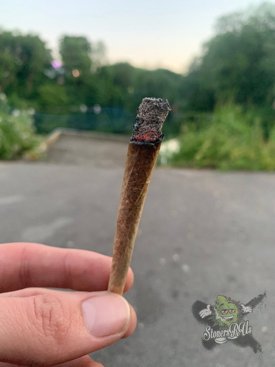 _StonersRUs_'s tweet photo. The solution to any problem… https://t.co/HZDQhixMbf