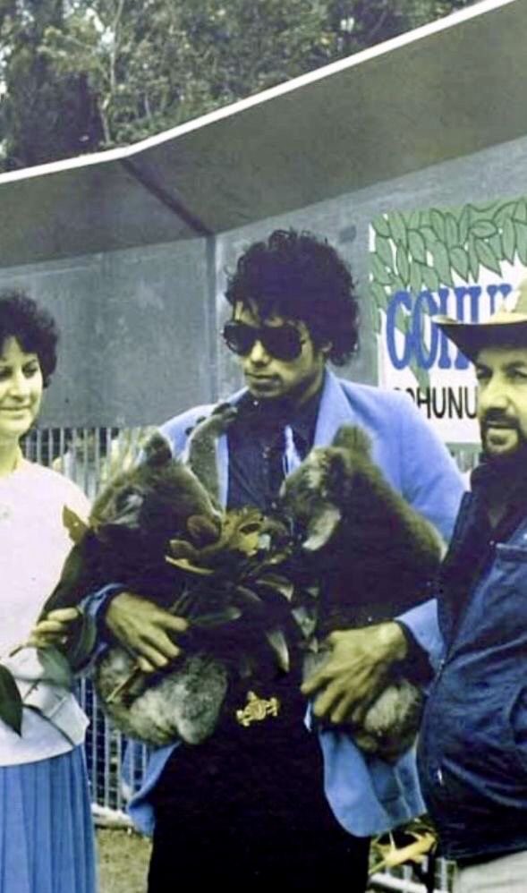 get0nthefloor79's tweet photo. The grip on the koalas? #menext https://t.co/pw98IOSIDn