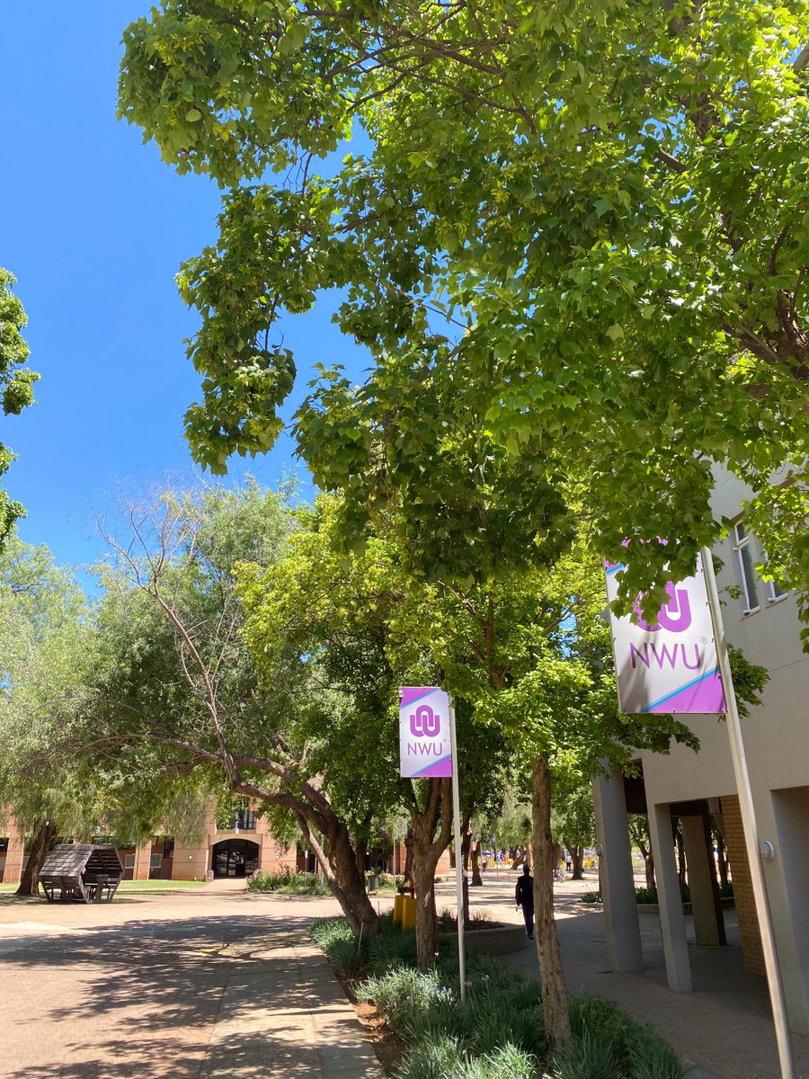 _silkcherub's tweet photo. operation; save the semester🧸🎀 https://t.co/ADB4C5iXFQ