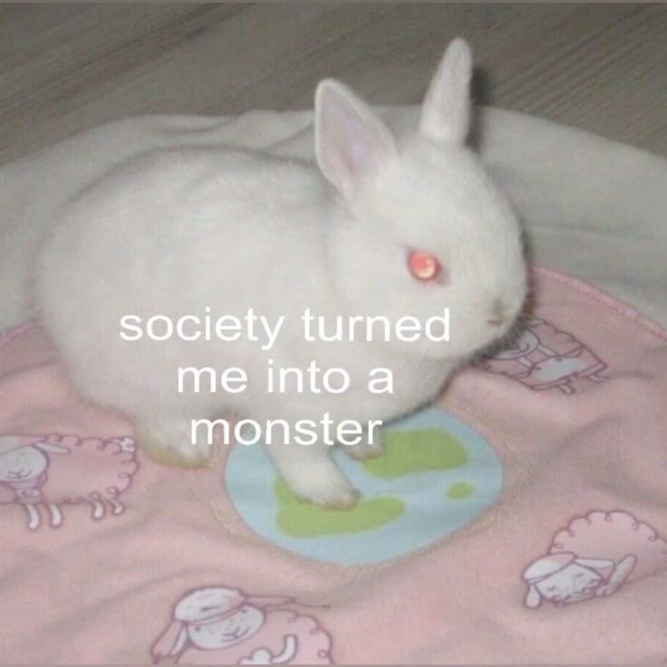 Bunnisauruuy4e's tweet photo. its lowkey true https://t.co/xTMvZcknDu