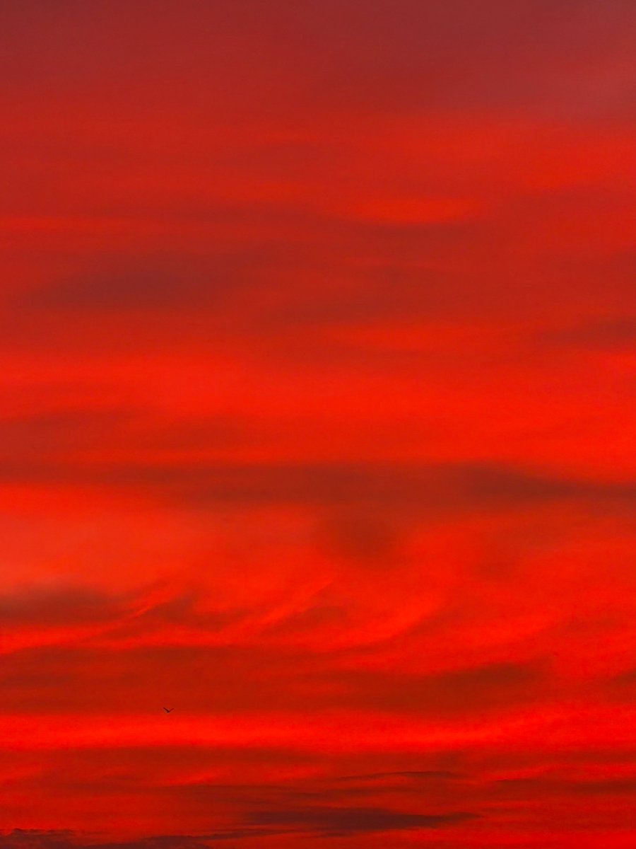 anuitis_'s tweet photo. straight out of a painting https://t.co/bwQHYlgdKZ