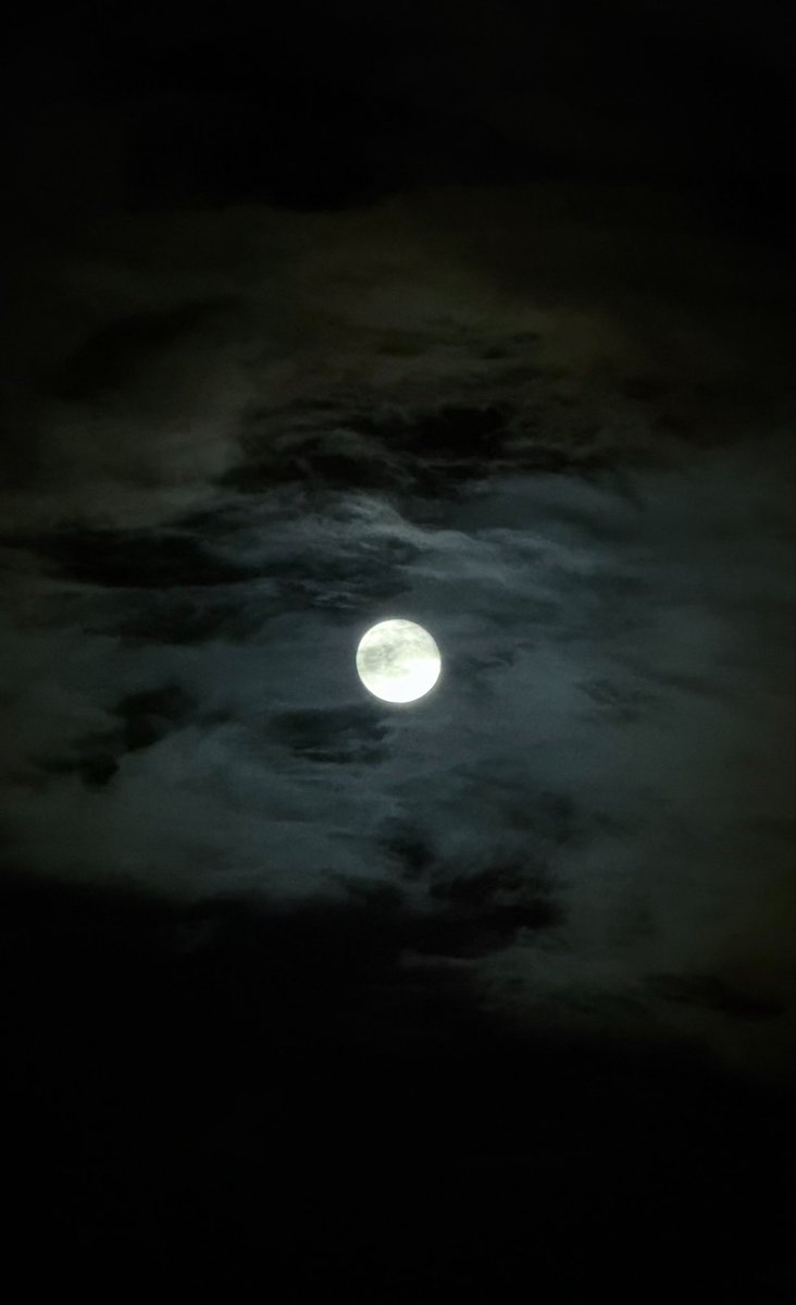 _rubydawn's tweet photo. Sorry but i’m genuinely kekekeing rn i’m so 😭😂😭😂😂😂😂😂😭
 anyway the moon slays again today… afternoon showers truly bring clear night skies 🥺💓 https://t.co/Zef0w6YjFm
