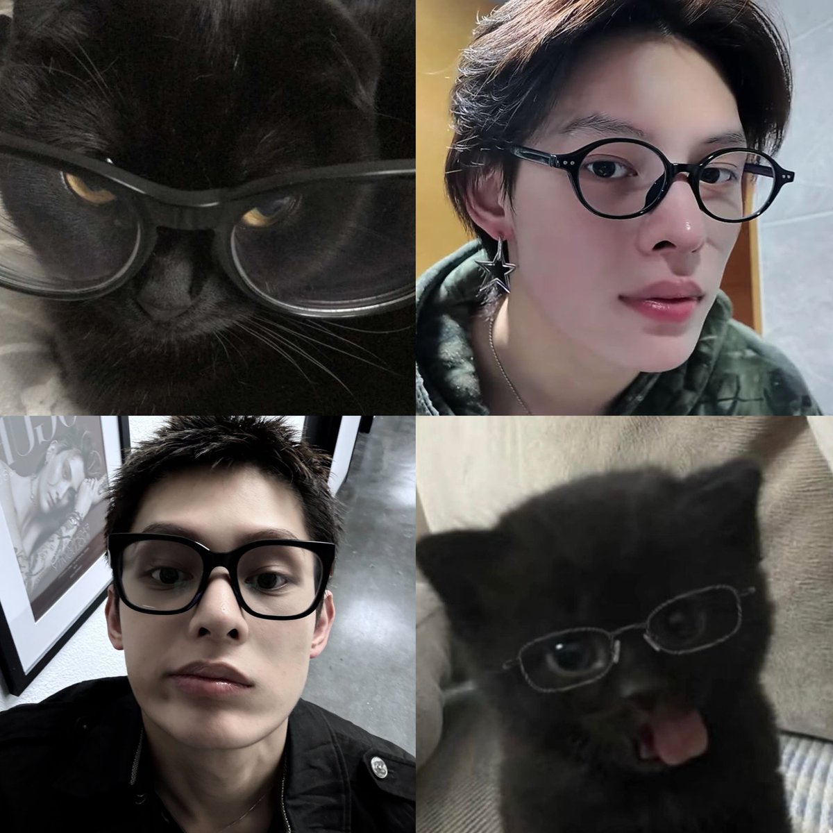 withcortis4life's tweet photo. kittyjjami day https://t.co/aCwswjCfER