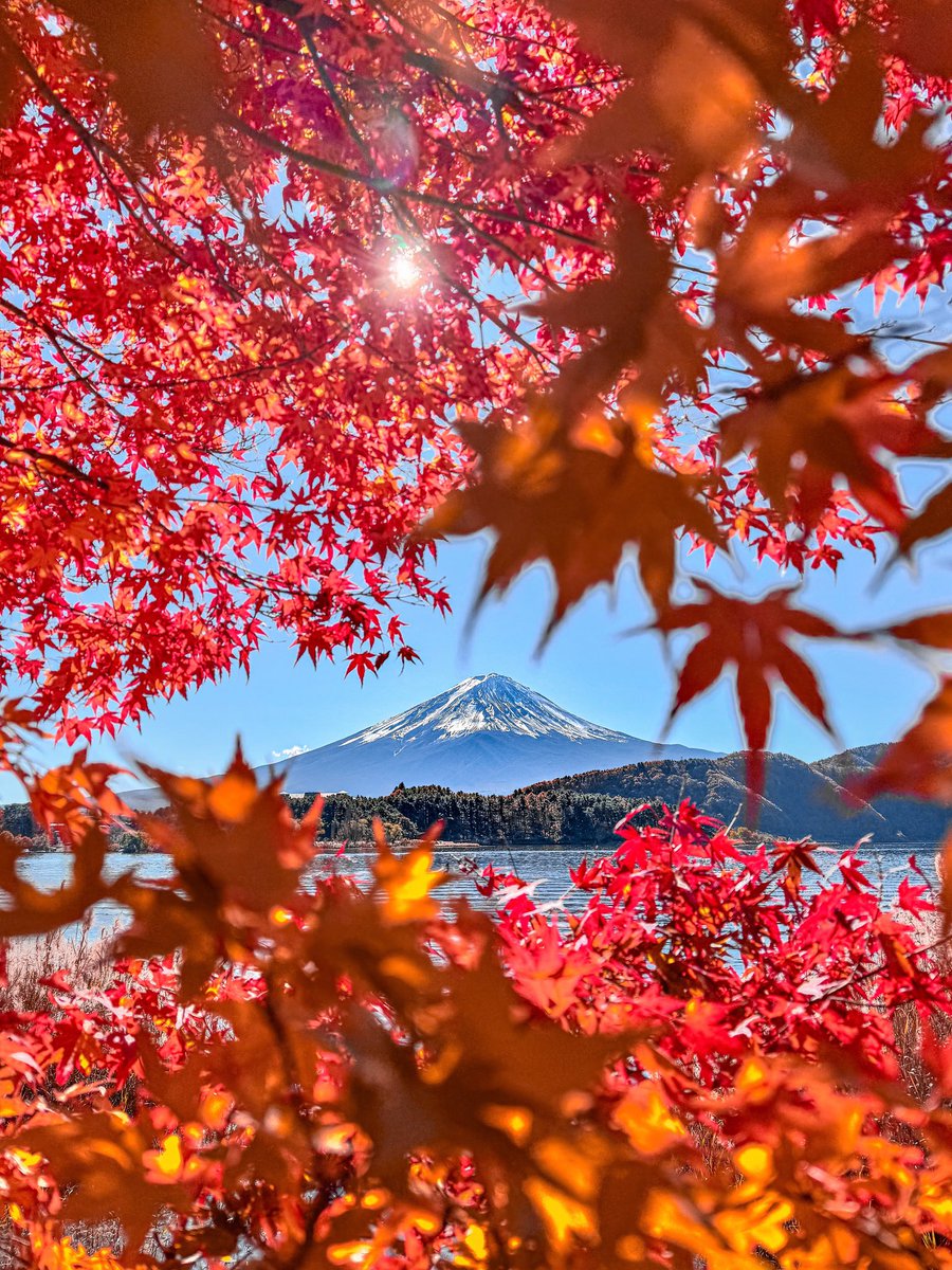 JeanetteEliz's tweet photo. Hello Everyone! ❤️🩷 Have a beautiful day 💞🌸💕 https://t.co/OjSoNJjwGa