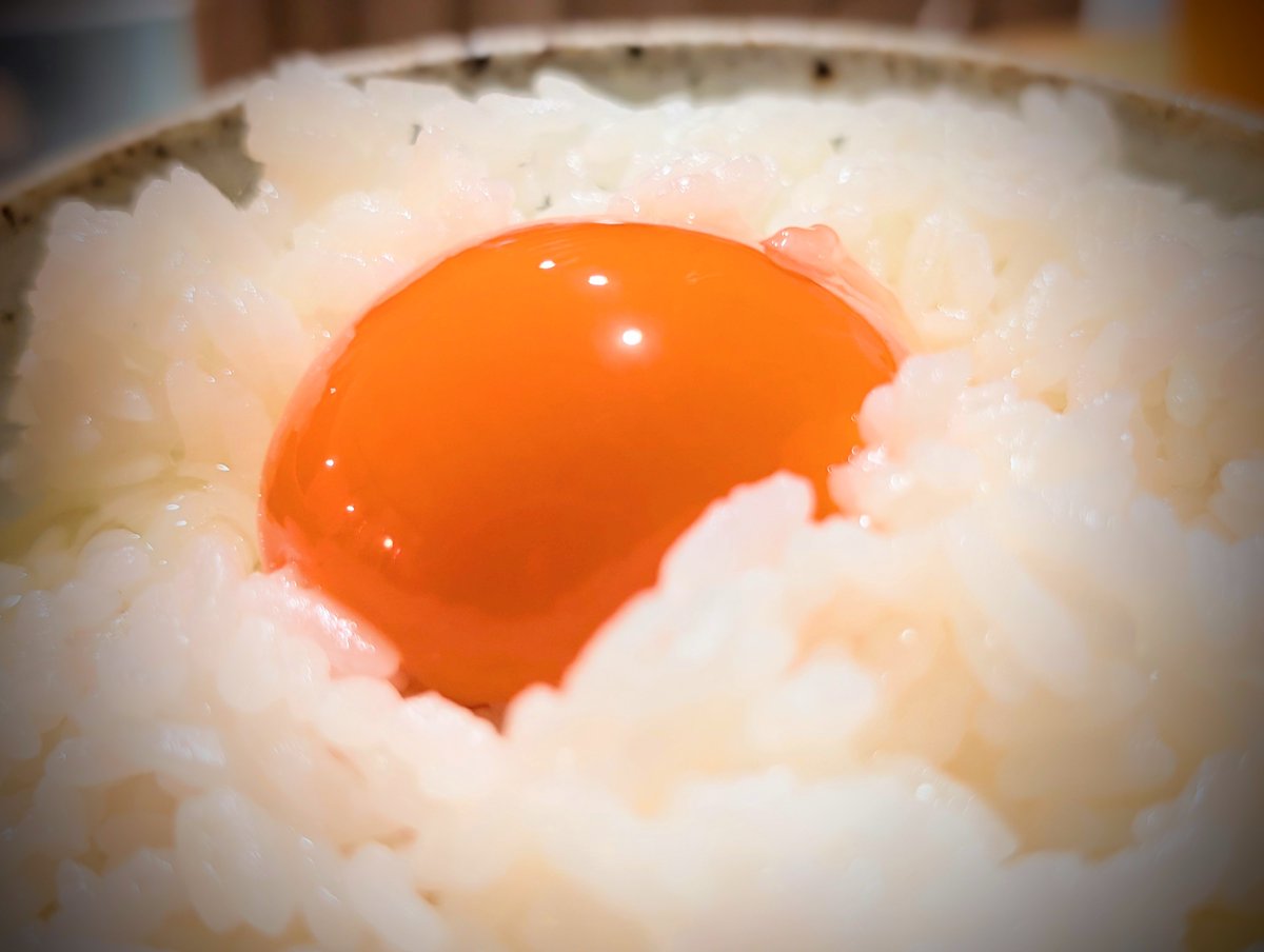 k_webcreate's tweet photo. 高級たまごと特別栽培米のTKG！！！ https://t.co/aEe5ByBs6d