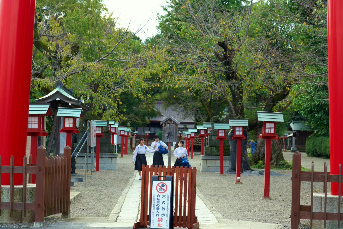 dimden's tweet photo. らき☆すた寺 https://t.co/1zyOHNd8or