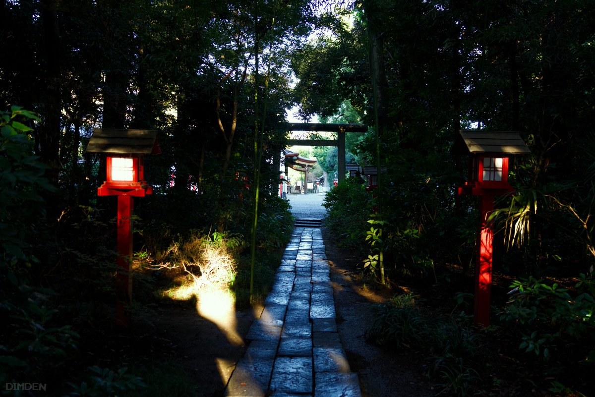 dimden's tweet photo. 🌿⛩️ https://t.co/vHnpEzJYBO