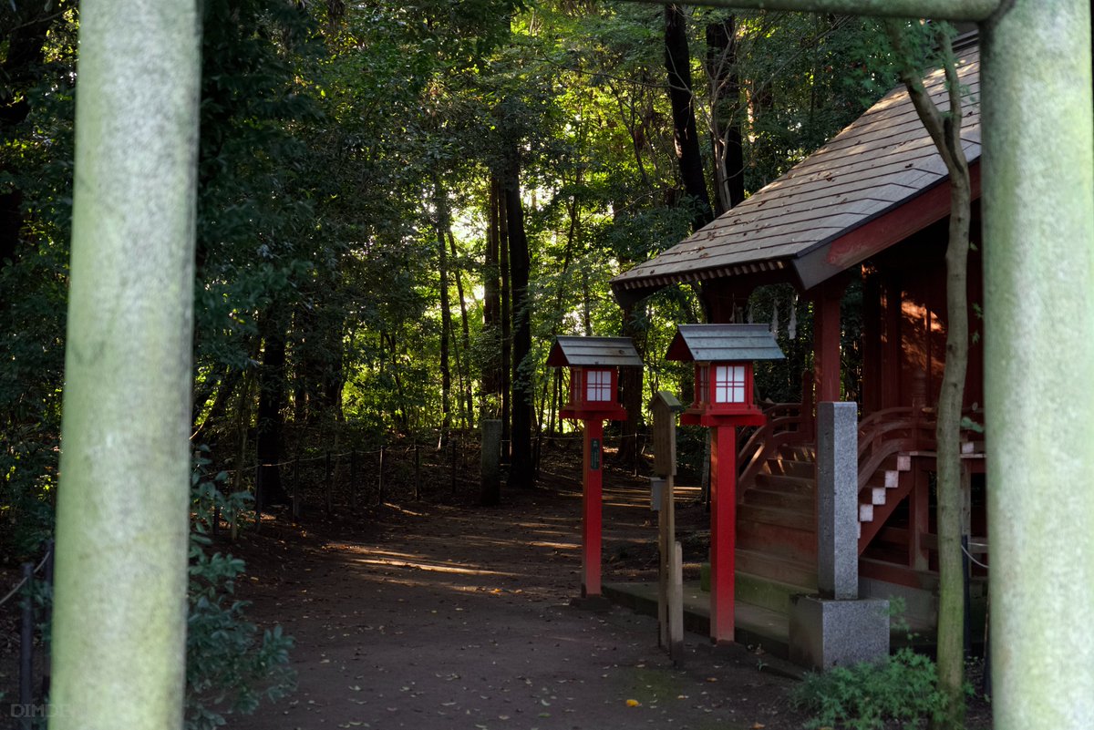 dimden's tweet photo. 🌿⛩️ https://t.co/vHnpEzJYBO