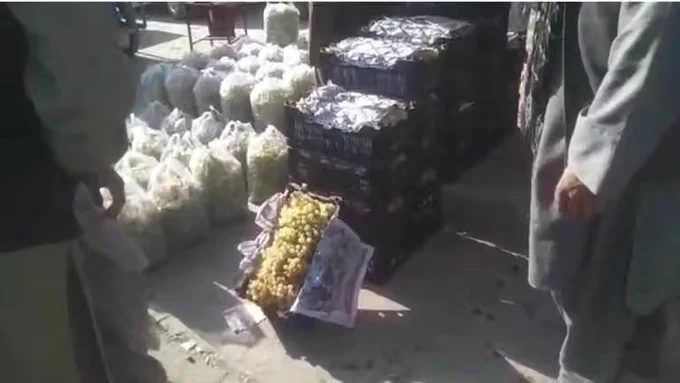 Farmers: Halt in Pakistan Trade Has Cut Grape Prices by 70%