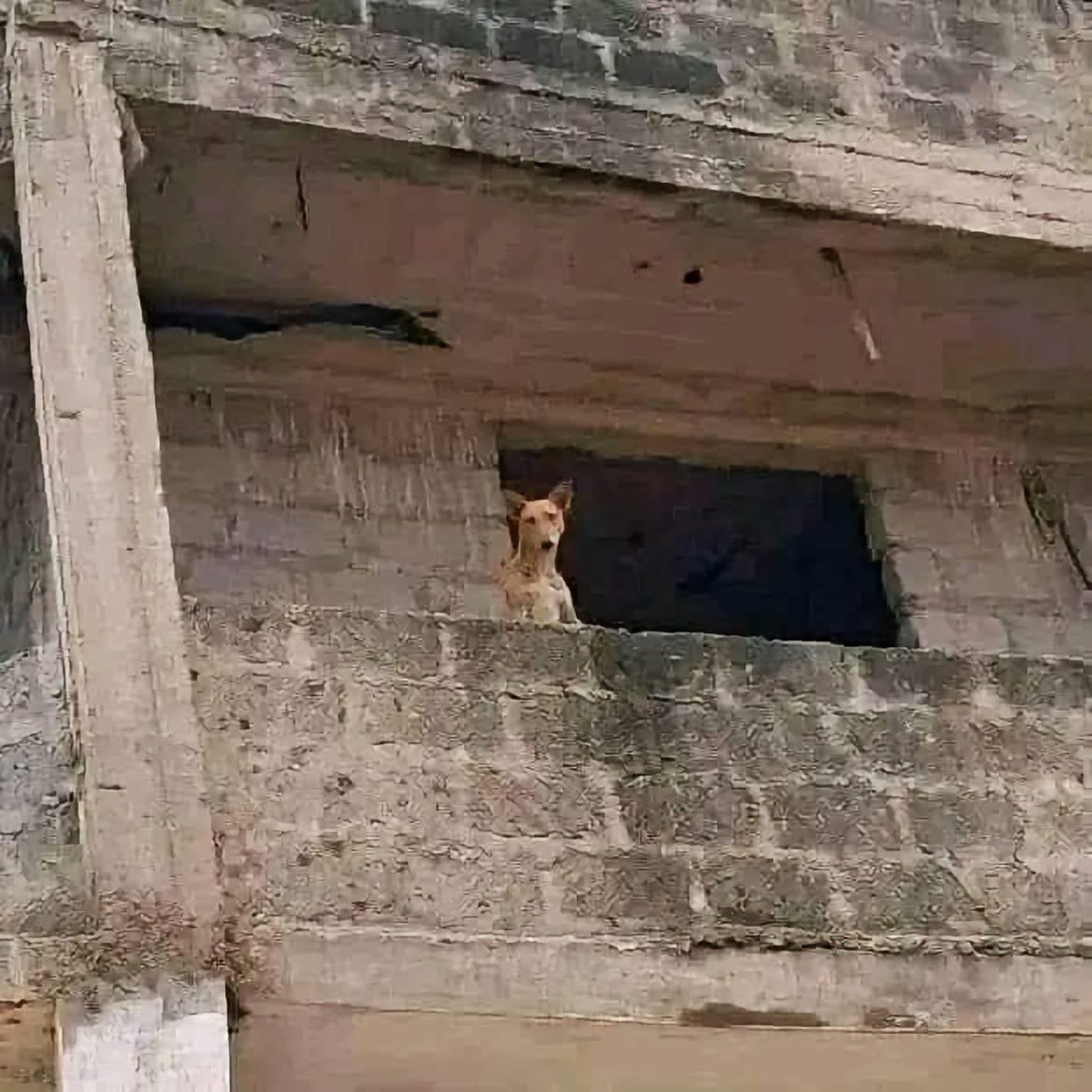 jessedajuma's tweet photo. Your unemployed girlfriends and wife watching you go to work because you married her for true love .. and a man is a provider . https://t.co/EQwcjd2vOj