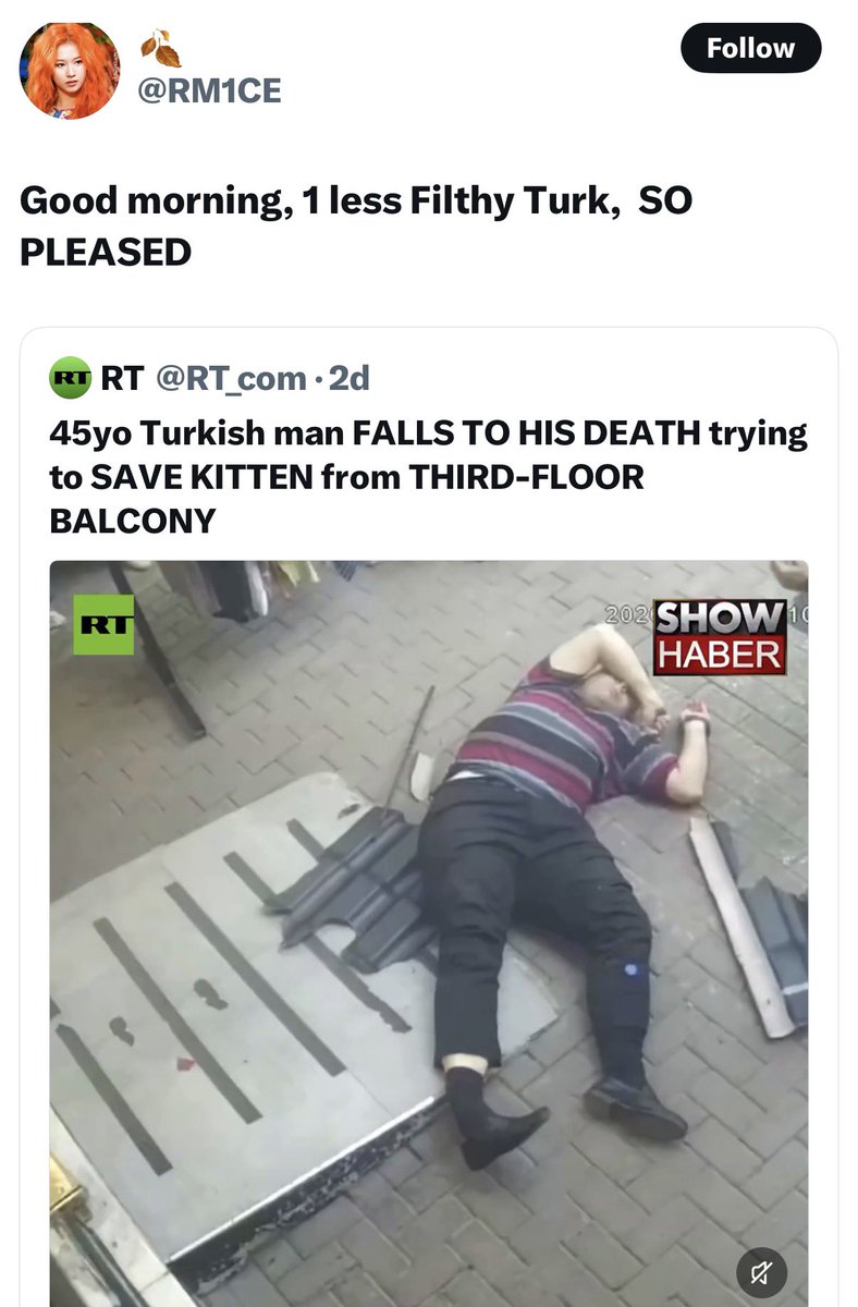 TurkishArc's tweet photo. A Turkish man lost his life trying to save a kitten. His last act was pure kindness.

These accounts responded by celebrating his death with anti-Turkish hate.

He showed more humanity in his final moments than they ever will. https://t.co/Svihs2ixgN