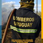 Photo by Liga de Punta del Este (@ligapunta)