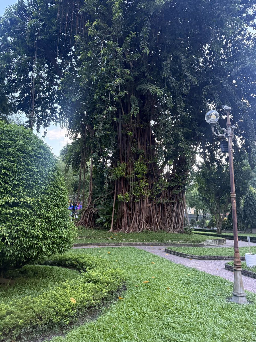 susann963's tweet photo. Happy #thicktrunktuesday tree friends!! https://t.co/TryMoCmzaU