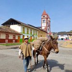 Photo by El último de los estoicos. (@tagoretoro)