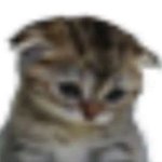 Photo by flo🌸🦋 - kinda ia (@jungsucom)