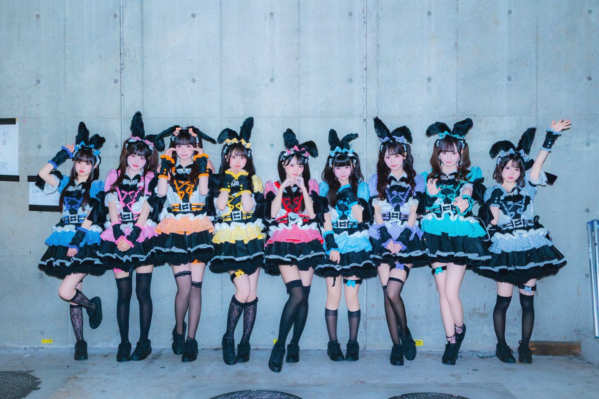 iLiFE_official's tweet photo. 何色のバニーちゃん飼いたい？🐰❤︎

#iLiFE https://t.co/7G6j0HVzF7