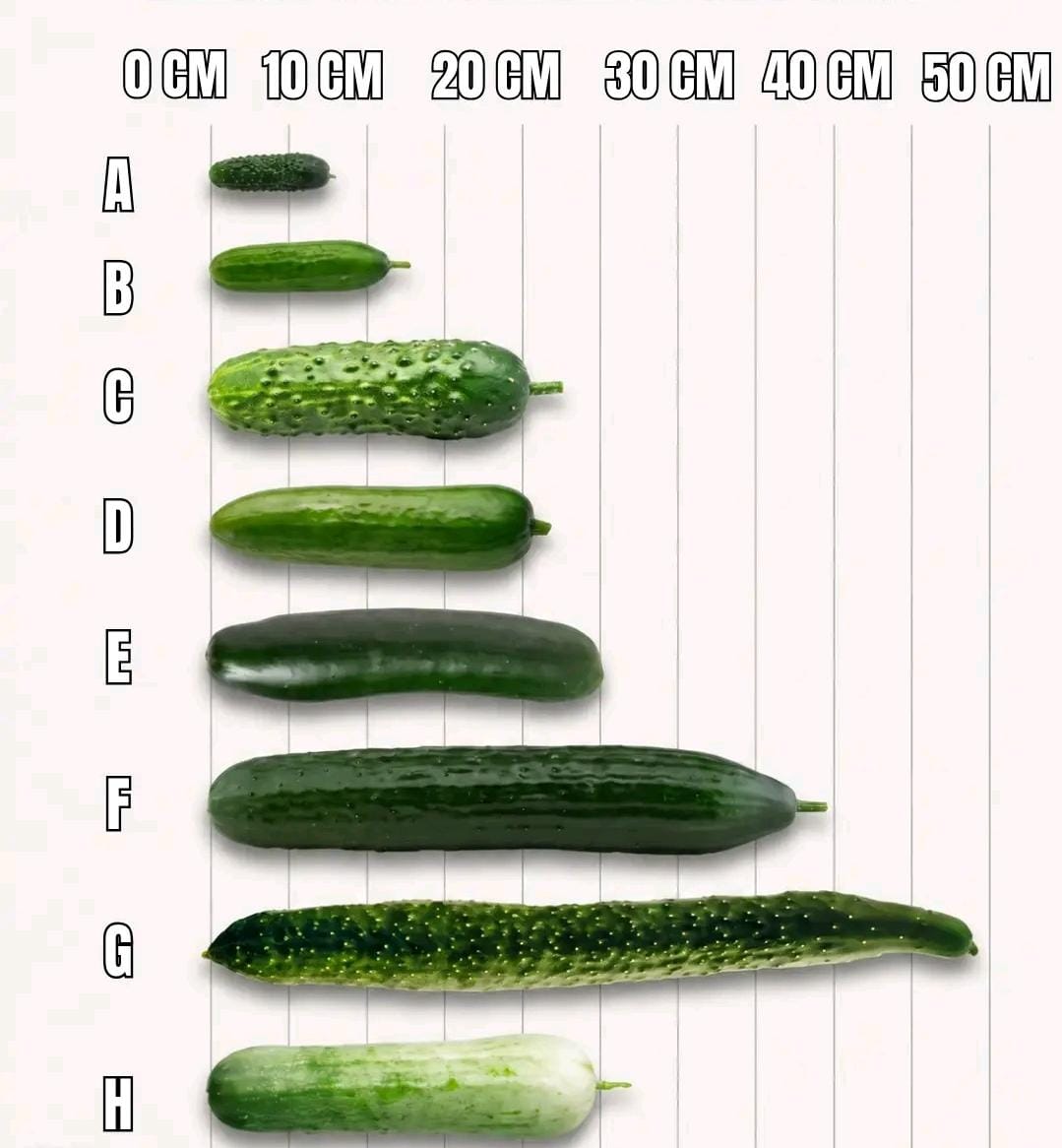 CookingHub_'s tweet photo. THE TRUTH ABOUT GROWING YOUR PENIS NATURALLY

Most men who worry about their size are completely normal.

1. The truth about growth oils and pills https://t.co/fVRtVwmA6z