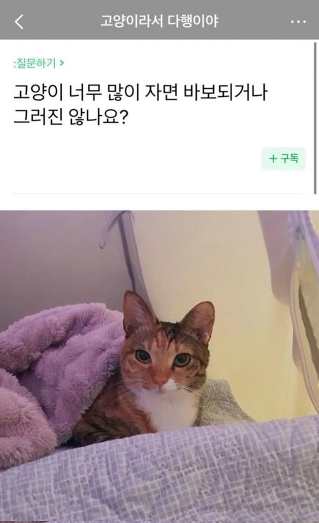 apricotjamsmad's tweet photo. 드림카페

카페: 프로본 너무 많이 자면 바보되거나 그러진 않나요? https://t.co/blbaFKXYw6