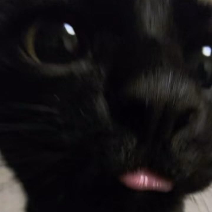 ryulkitty's tweet photo. ohyul’s day https://t.co/ienGxAwRSV