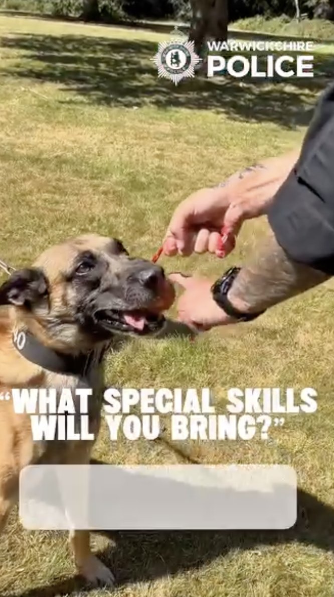 PoliceMutual's tweet photo. Meet the hero pups at Warwickshire Police – where would we be without them? https://t.co/9ddJmupc4r https://t.co/fjhSlG0wuj
