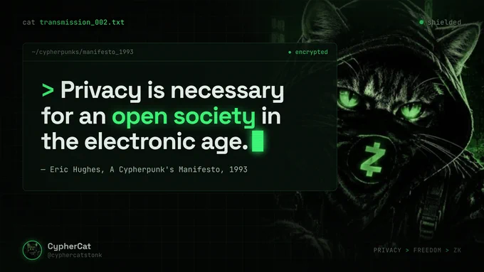 Image from Cyphercat (@cyphercatstonk)