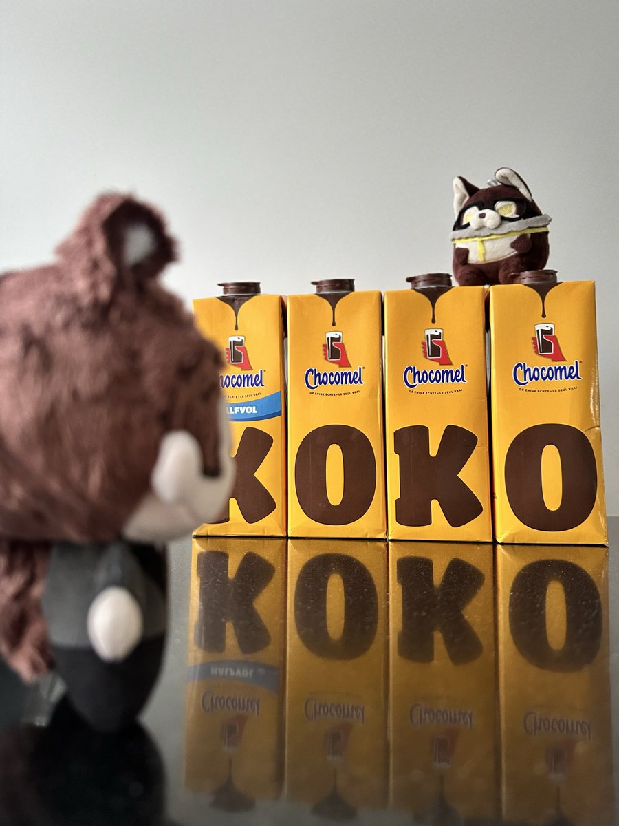 Genkisema's tweet photo. I told Koko he could pick out a little treat at the store, but he demanded four cartons... because how could we possibly leave without spelling his full name?! 😭🍫💕

#BringValkoBack #ValkoIsLoved #ぬい撮り #ぬい活 https://t.co/N1bXlPhQUf