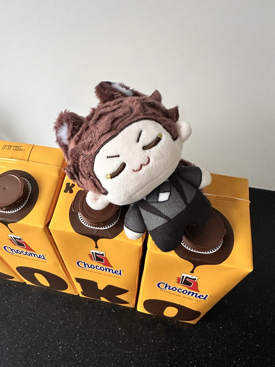 Genkisema's tweet photo. I told Koko he could pick out a little treat at the store, but he demanded four cartons... because how could we possibly leave without spelling his full name?! 😭🍫💕

#BringValkoBack #ValkoIsLoved #ぬい撮り #ぬい活 https://t.co/N1bXlPhQUf