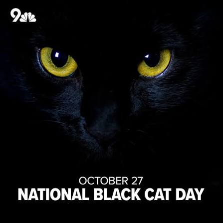 JusticeToAll's tweet photo. ❇️ October 27 is National Black #Cat Day. 🐈‍⬛ https://t.co/x77oAEkcjE